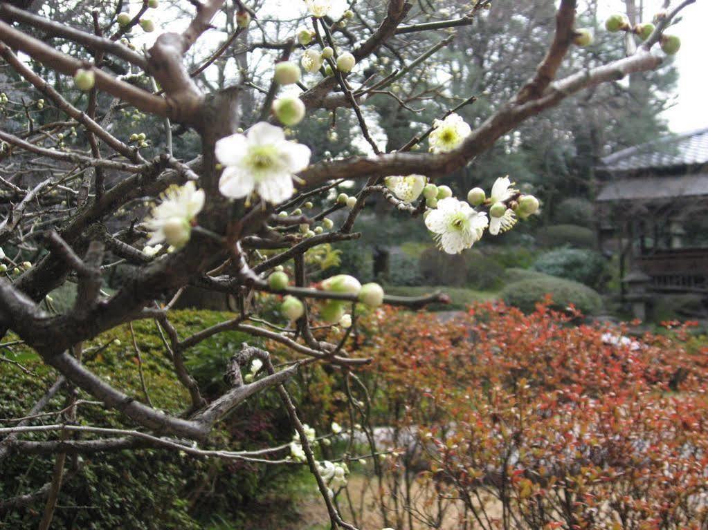 Gosho Nishi Kyoto Heian Hotel Zewnętrze zdjęcie